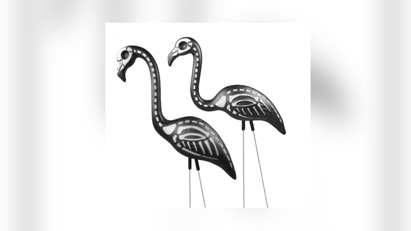 Skeleton flamingos add some festive Halloween decor to your yard. 