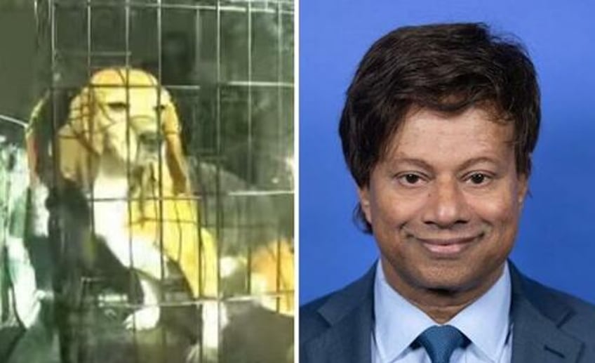 dem rep who filed trump impeachment articles under fire for dog monkey abuse in bankruptcy scandal