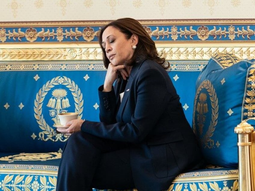 Vice President Kamala Harris waits in the Blue Room for an event with President Joe Biden,