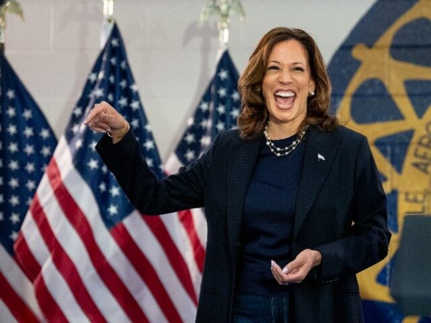 WAYNE, MICHIGAN - AUGUST 08: Democratic presidential candidate, U.S. Vice President Kamala