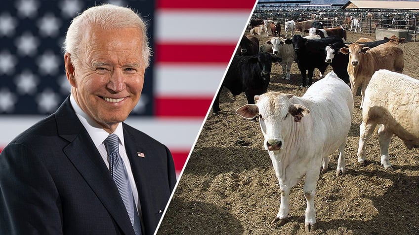 democrat senator takes action to reverse biden admin move endangering our food supply