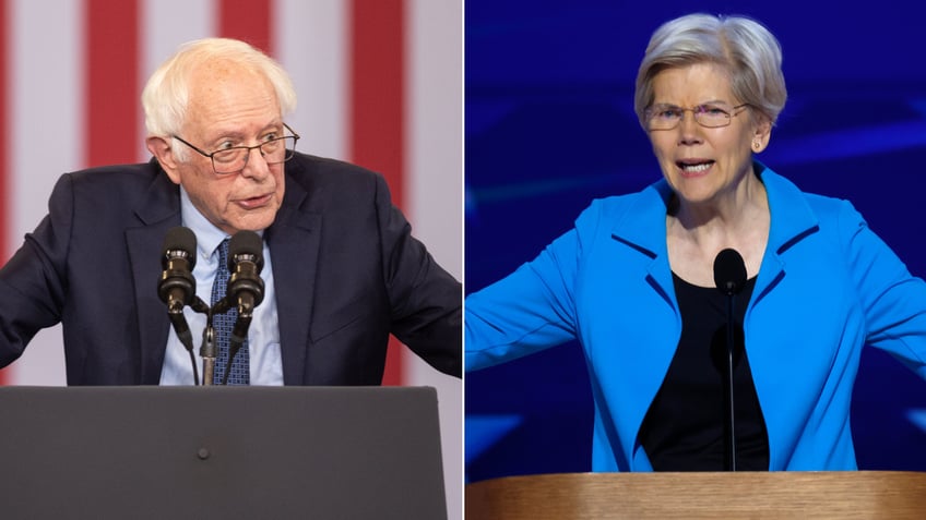 Sens Sanders and Warren