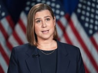Democratic lawmaker calls out party for being 'scared' to offend immigration groups