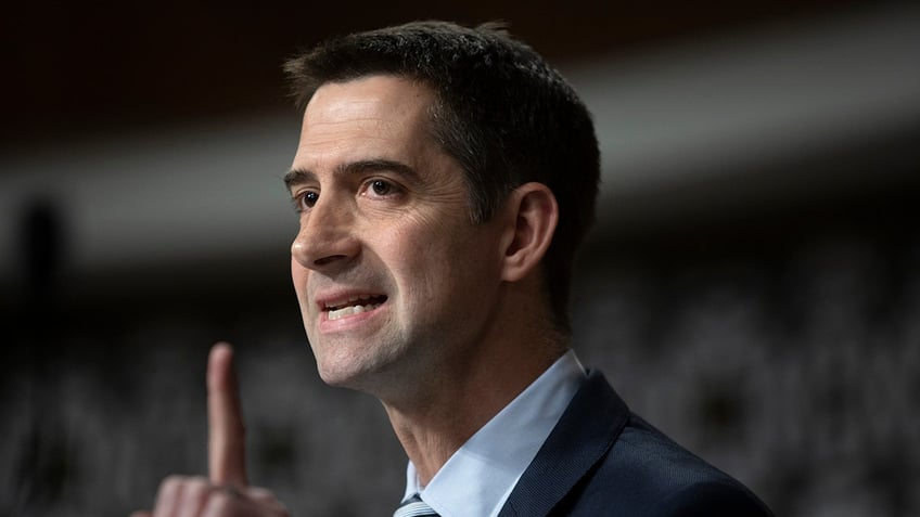 Sen. Tom Cotton in congress hearing