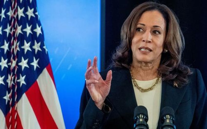 dems scramble to walk back harris price control scheme