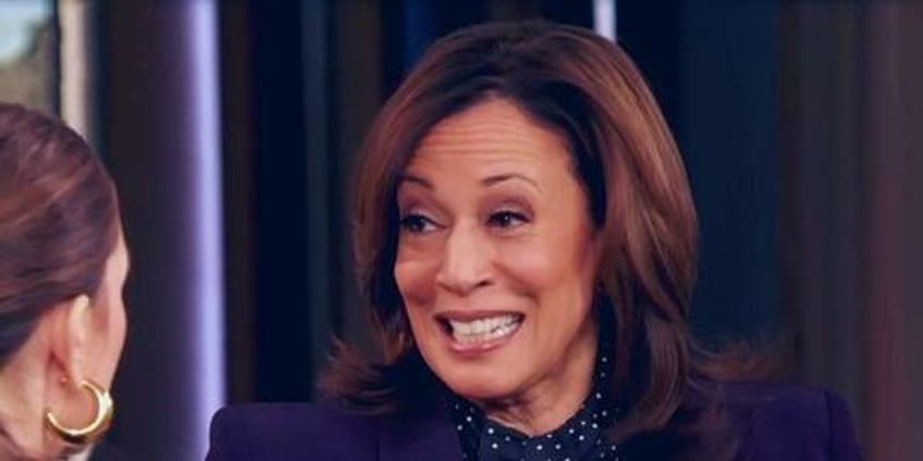 dems want kamala to run for president again in 2028