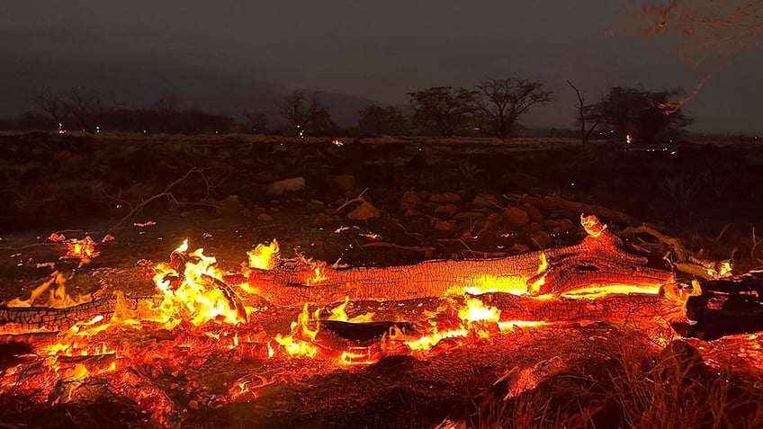 dems who blamed hawaii fires on climate change largely silent after county says power line responsible