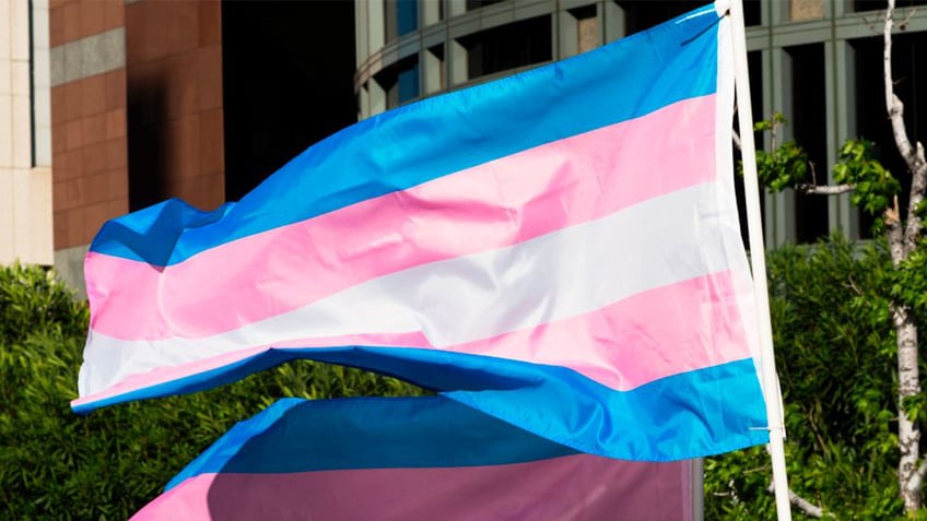 Transgender flags fluttering in breeze on poles