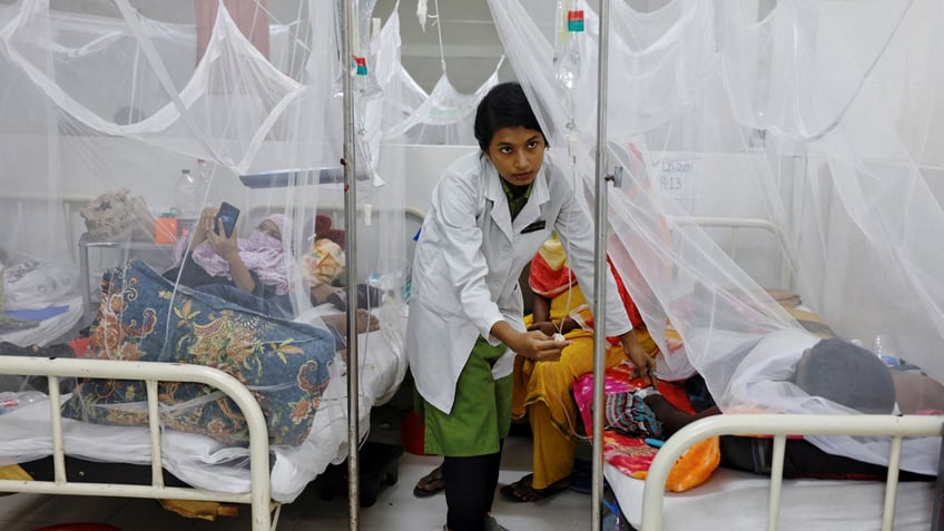 dengue outbreak surges in bangladesh raising alarm over record deaths and infections