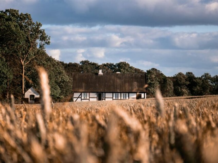 House in the middle of a field Vosnæs, Skødstrup, Denmark