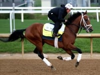 Derby winner out, runner-up still a maybe for Preakness Stakes