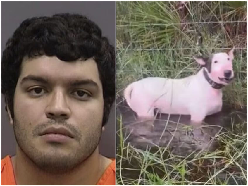 desantis former owner who tied dog up ahead of hurricane milton facing animal cruelty charges