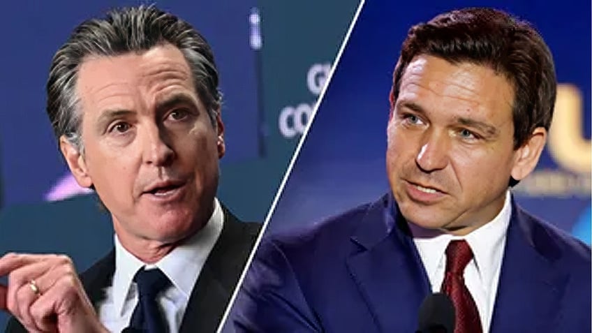 left-right split of Govs. Newsom and DeSantis