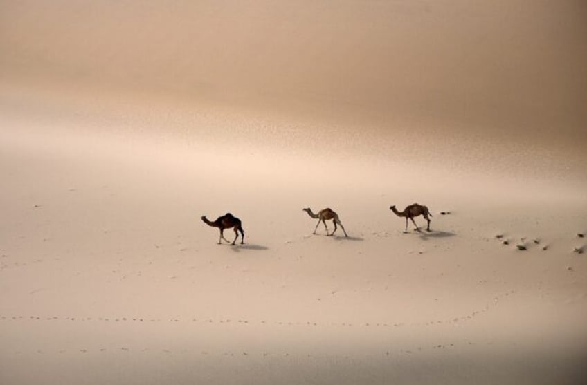 Saudi Arabia is home to one of the world's biggest deserts