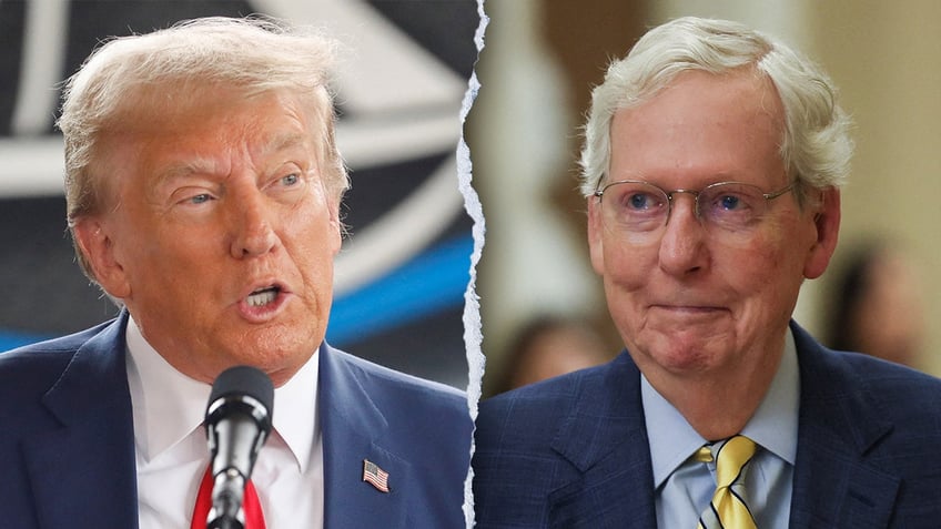 Donald Trump, Mitch Mcconnell