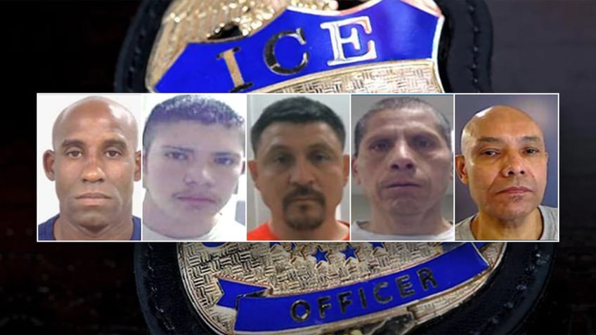 Illegal immigrant mugshots