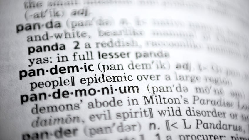 dictionarycom adds polysexual amalgagender other progressive terms to online database