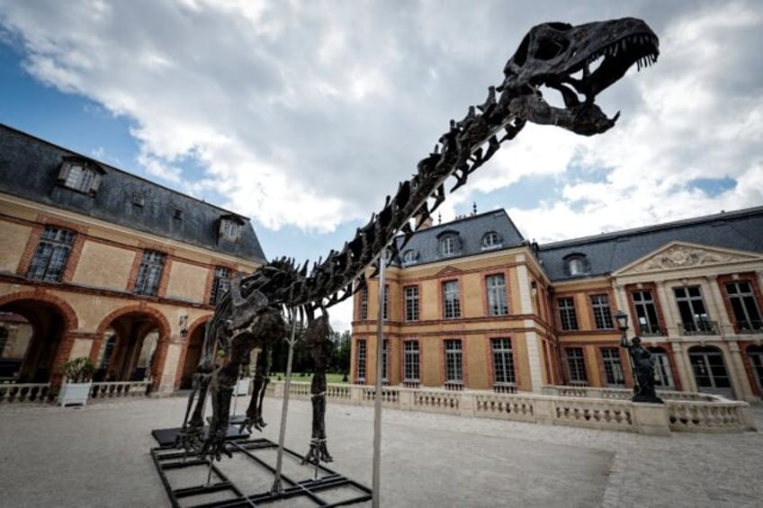 The buyer has pledged to donate the apatosaurus nicknamed Vulcan to a museum