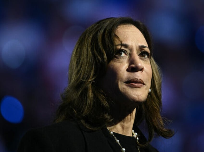 US Vice President and Democratic presidential candidate Kamala Harris speaks during a &quo