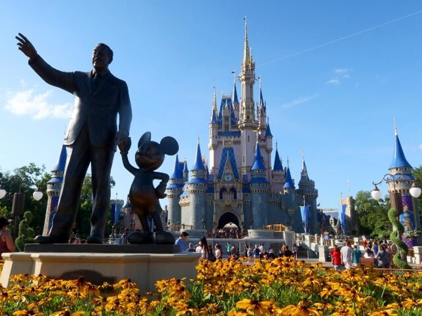 Disney's magic kingdom