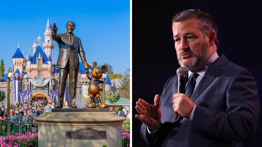 disneys stunning financial statements show company has risked profits for woke politics ted cruz