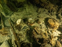 Divers discover 19th century shipwreck containing historical artifacts in Baltic Sea