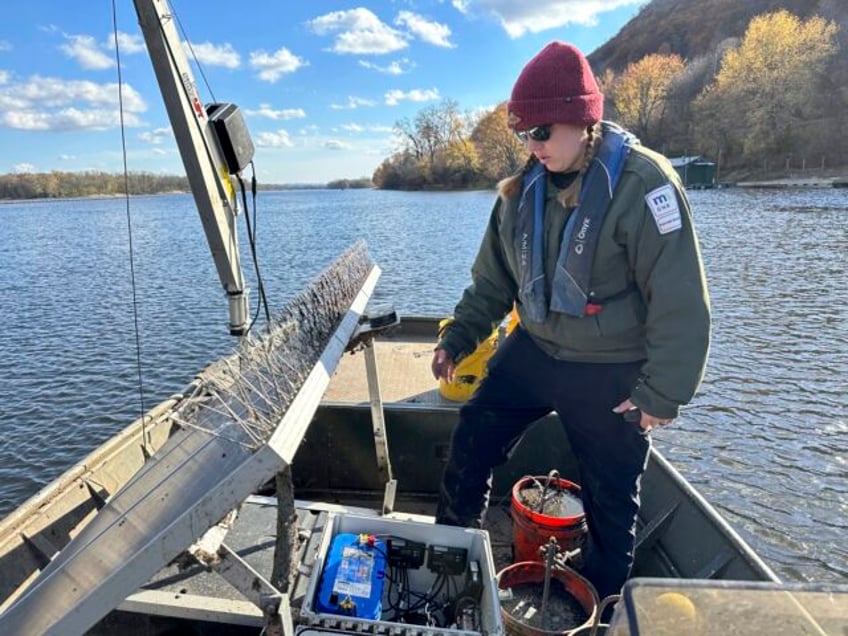 do snitches net fishes scientists turn invasive carp into traitors to slow their great lakes push