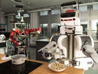 Do We Really Need Home Robots?