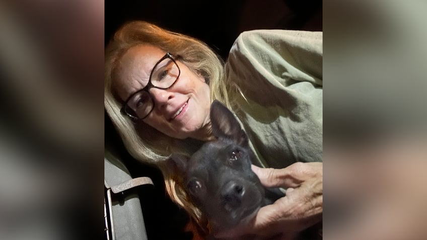 dog lost at atlanta airport found safe 3 weeks after mysterious disappearance officials