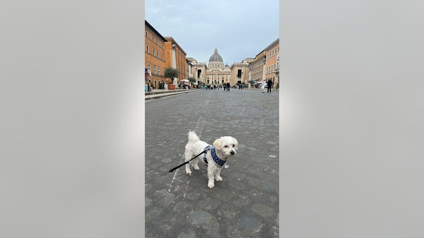 Teddy in Italy