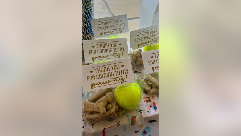 dog pawty 3 pet owners share why they spend hundreds of dollars on their pets birthday parties