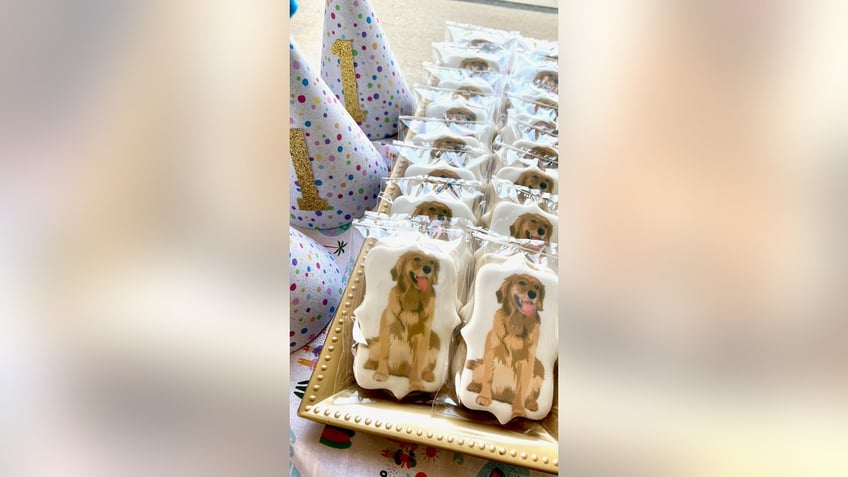 dog pawty 3 pet owners share why they spend hundreds of dollars on their pets birthday parties