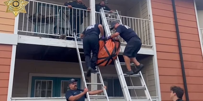 dog rescued in texas after out of town owner leaves pup on second story balcony authorities say