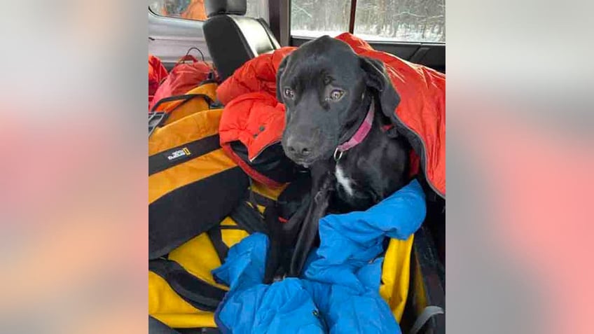 Dancer getting warm in vehicle