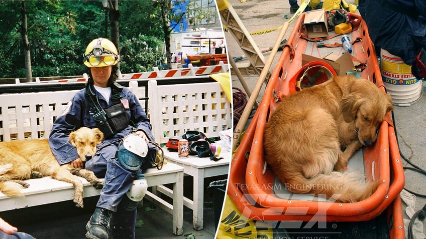 Search and rescue dog Bretagne and her handler Denise Corliss