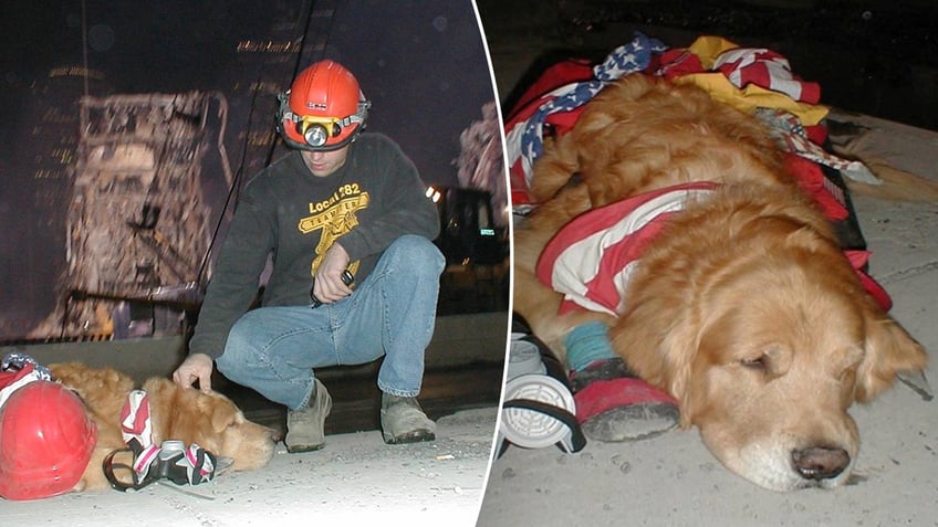 Nikie, therapy dog, and Frank Shane, handler