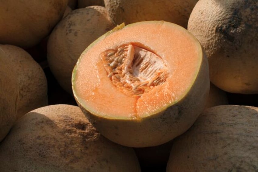 dont eat pre cut cantaloupe if the source is unknown cdc says as deadly salmonella outbreak grows