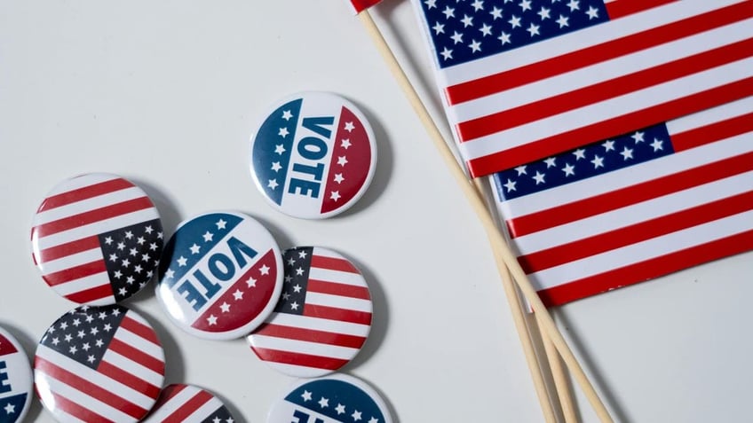 vote pins