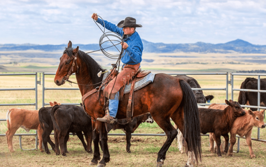 dr naomi wolf war on ranchers and erosion of food freedom