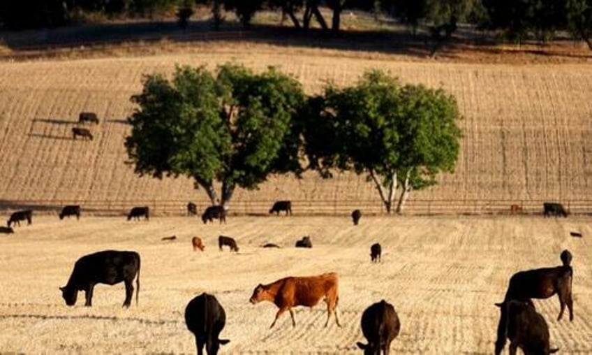 drought status returns to california for first time in 2024