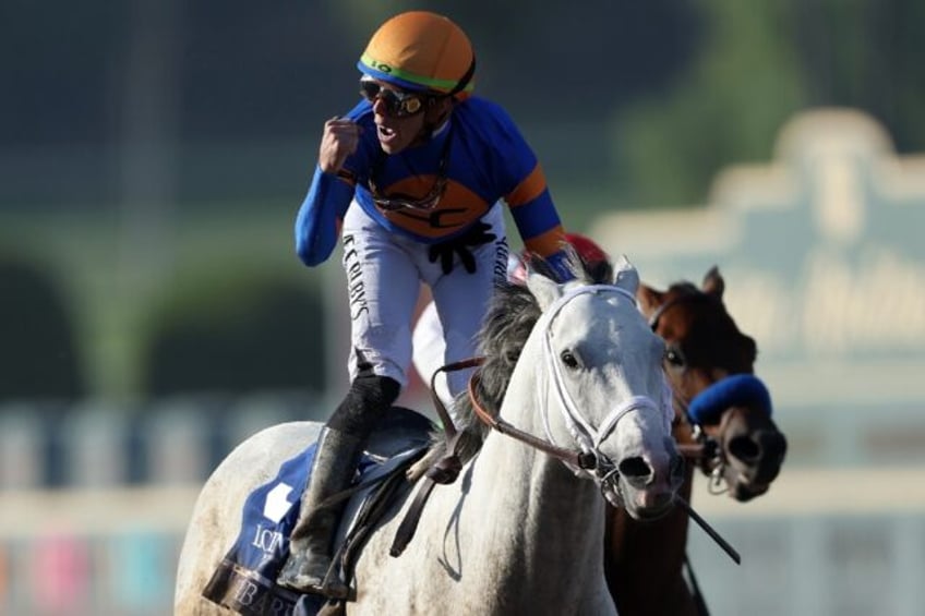 dutrow in from the cold as white abarrio wins breeders cup classic