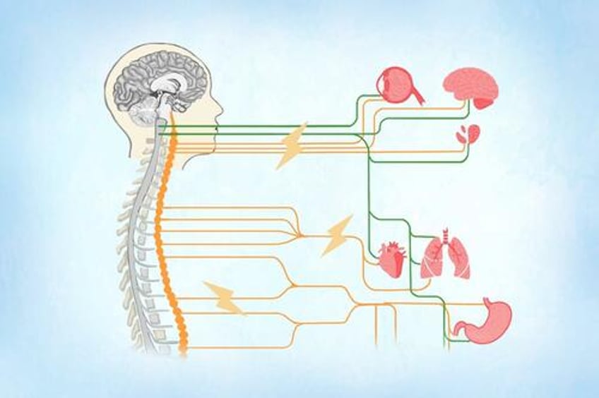 dysautonomia symptoms causes treatments and natural approaches