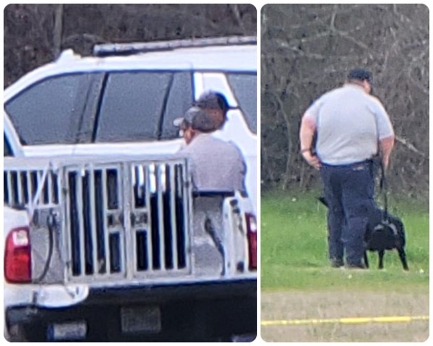 TDCJ search dogs join the operation along the Trinity River to search for Audrii Cunningham. (Bob Price/Breitbart Texas)