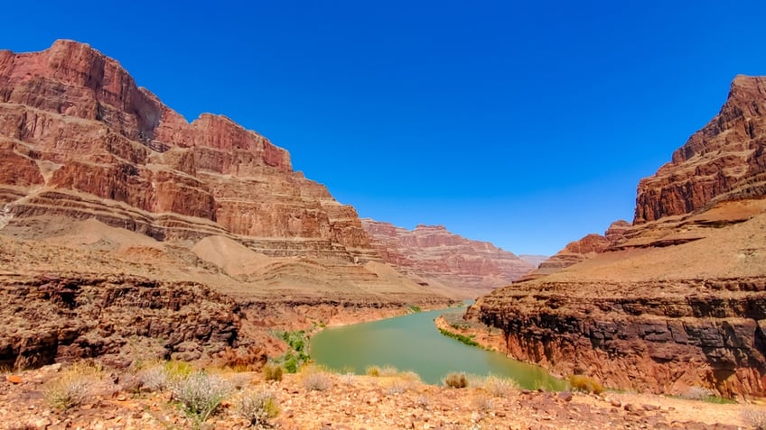 ecoli bacteria detected in grand canyon national parks water supply