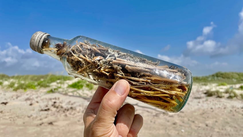 eerie witch bottles found along gulf of mexico and even researchers are creeped out