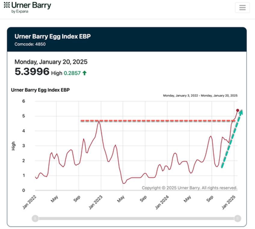 egg prices catapult into blue sky breakout as bird flu sparks worsening shortage