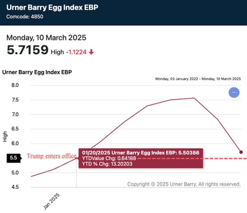 egg prices plummet after trump unveiled plan to reverse bidens bird flu mess