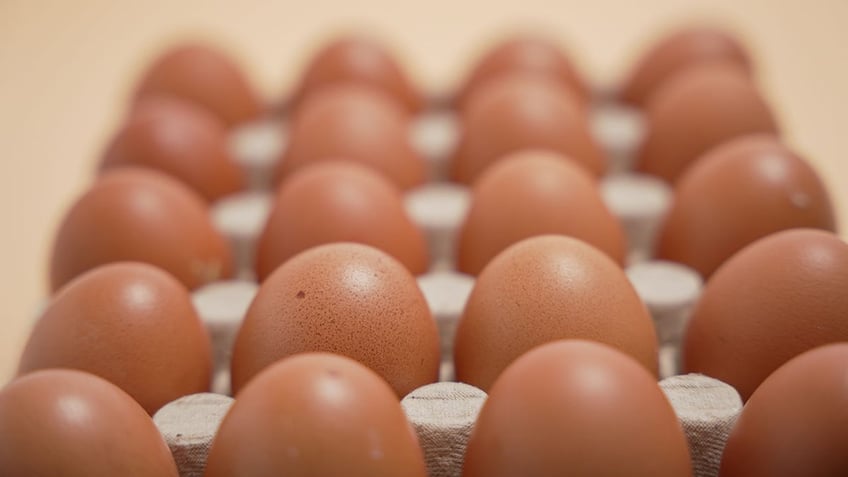 A close up of a dozen eggs in a carton.