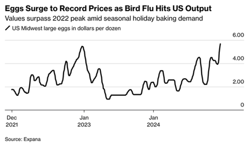 eggflation dozen pack at supermarket hit record highs as bird flu ravages farms