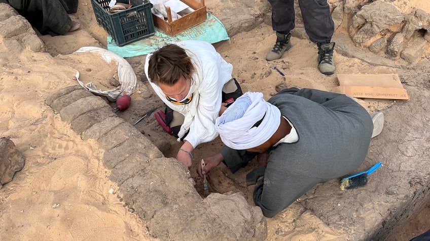 egyptian queen tomb discovery yields sealed jars of wine from 5000 years ago plus exciting information